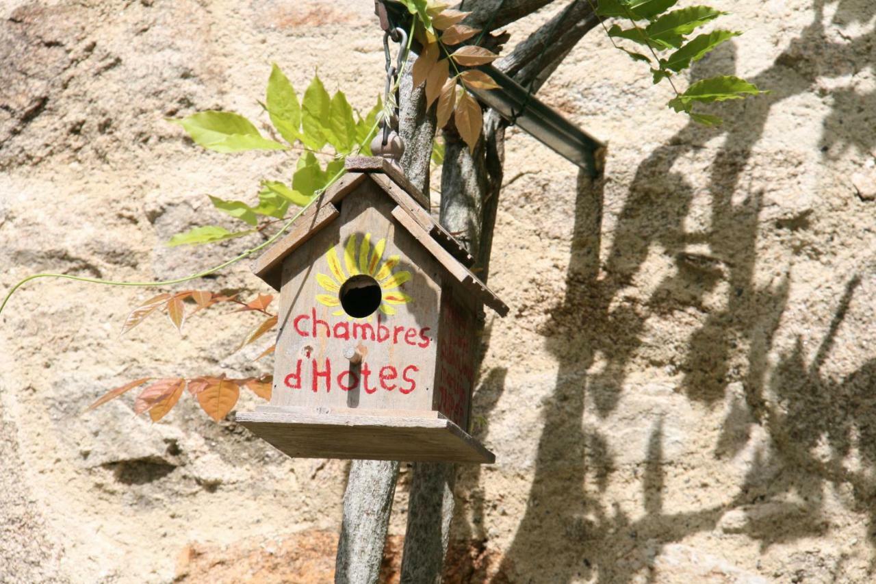 Domaine Les Teuilleres Bed & Breakfast Lacam-d'Ourcet Exterior photo